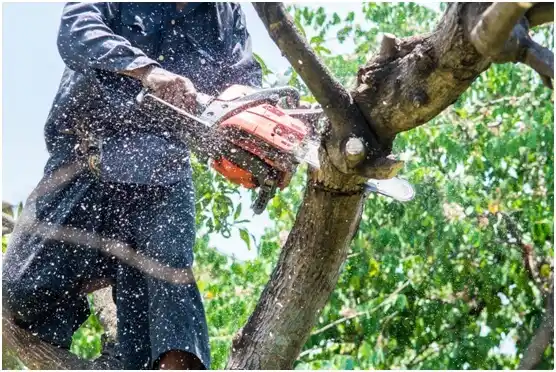 tree services Copperton